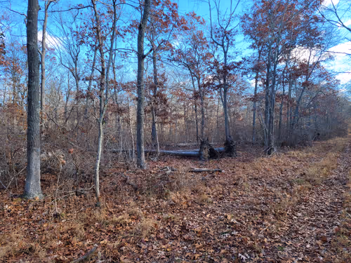 Item #34085441569699423005310991372941828806155687762378495952169943231860685406209 Media