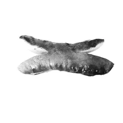 23333466697875174516646510041421218827281761794801465450686785800328485797889