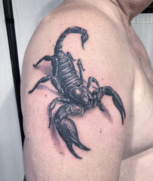 Item #79703552021987846935500238274646499609524210877100900829893372442423903387649 Media