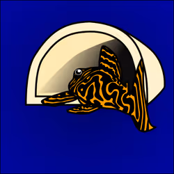 81664083123670143983968740139941474364733981378414170565535210979274321297409