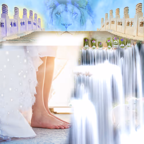 Item #71732972465139686878284147845951718227744772454694701869964799692865764589569 Media