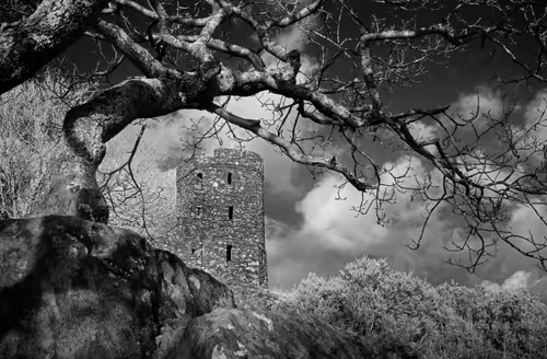 Item #40160686583094733528677484039903516258611509642019211679321071488056514576385 Media