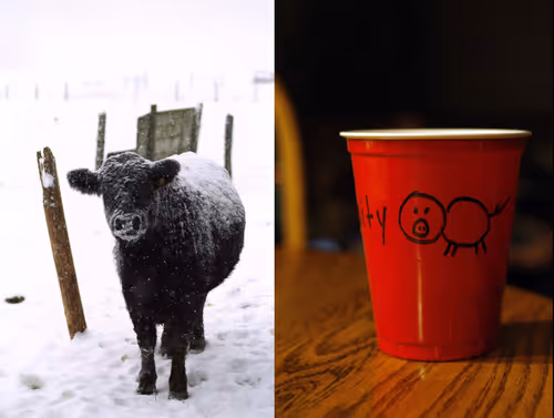 Item #95798395344160826478230491499252628572040143534185362822691349329109967699969 Media