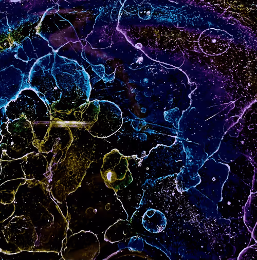 Item #72256936060036278923331537561005506622264708892264959040134690048752620666890 Media