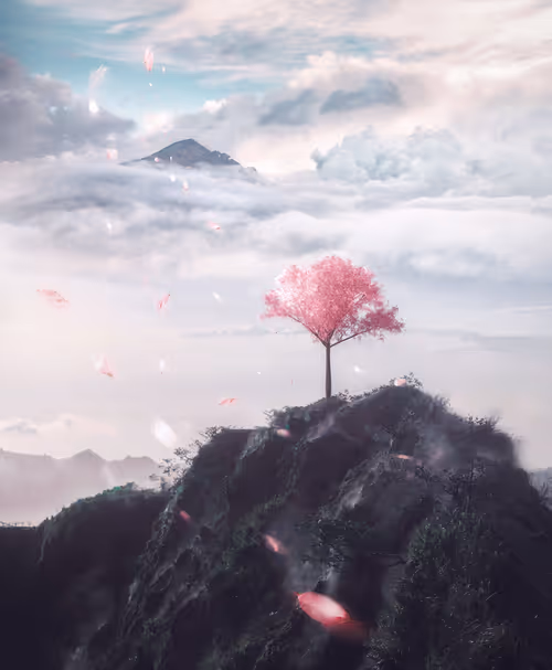 Item #134489906944514601836567189437532879130233761745768622289177285498457030657 Media