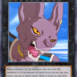 Beerus Trading Card