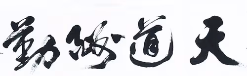 Item #89122859388136394203036627070696250166614725572333686446410253631441812324353 Media