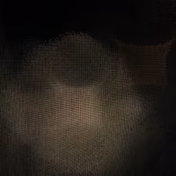 Light in the Dark