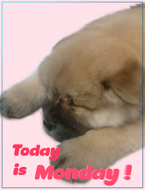 Item #103606411814514267144441239329390381368364317226309774540220525445969329782785 Media