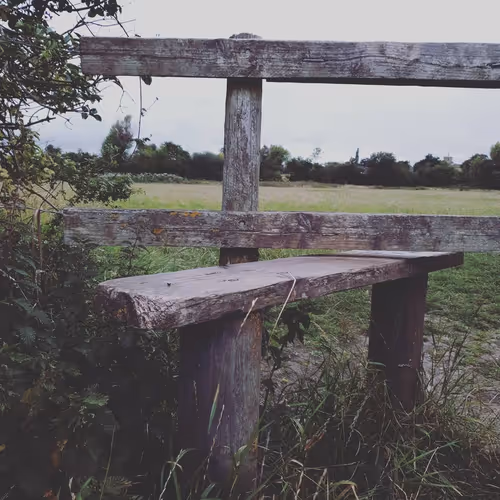 Item #105237010342582609876748436582366170093723610565651913513256945275388263661569 Media