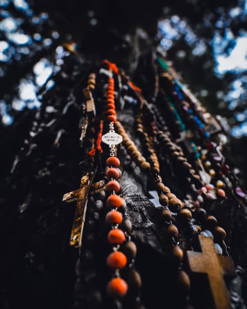 Item #46709965239587215851558087466762379659612403751449934923508460072610851454977 Media