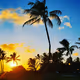 15 Days 15 Sunsets