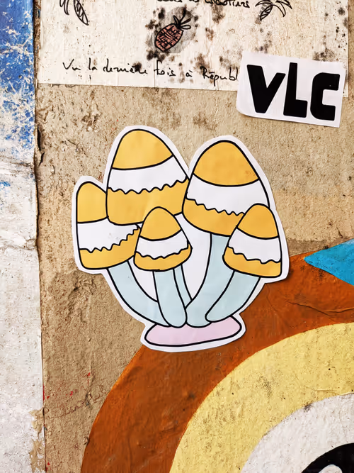 Item #74514486366930999863183303937488495413909095535195909856011804940283286650881 Media