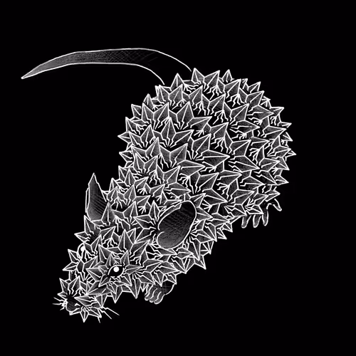 Item #37539778420477676297304907915673518061018294765430672805919210007457406386177 Media