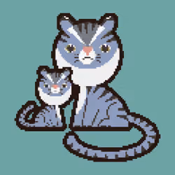 Leopard Cat 09