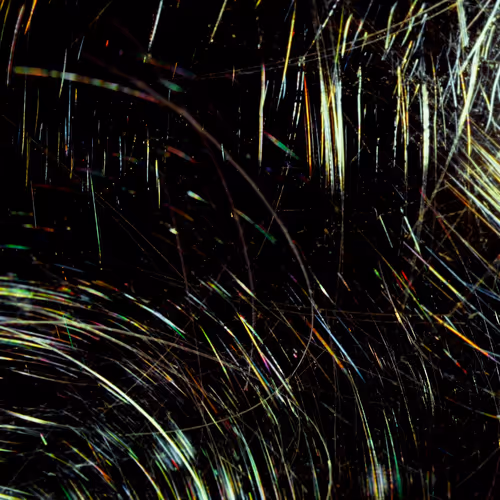 Item #70662443782525108804449522179445584276915167986744255556257964793138031624193 Media