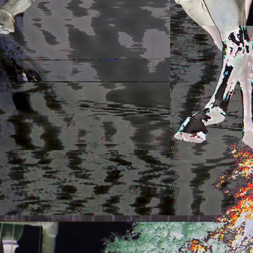 Item #40206737070068691469795964067745414193244727195216583219720318554157858422785 Media