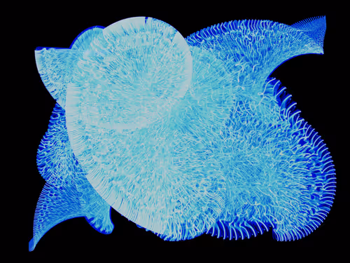 Item #45731211464929816441170859700976373292149702980452148839612469056760725897217 Media