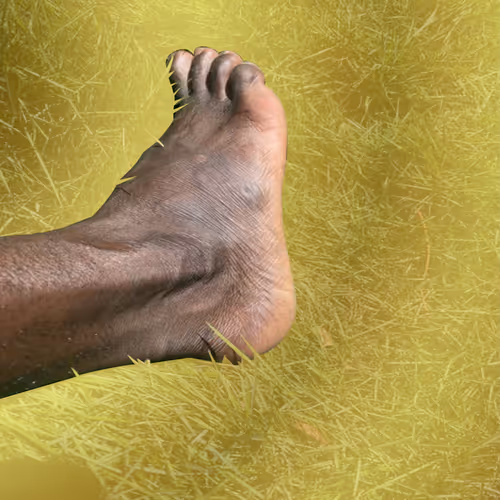 The People S Bitcoin S President S Feet Pictures
