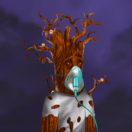 Item #38969088093190670381878411557565580659447067316565611691845276591084674220033 Media