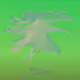 51472236781459235570045969823954325022147772359930512505025861058084030382081