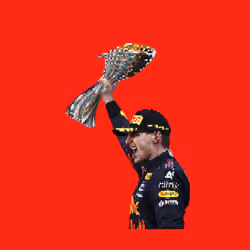 Max Verstappen World Champion #1