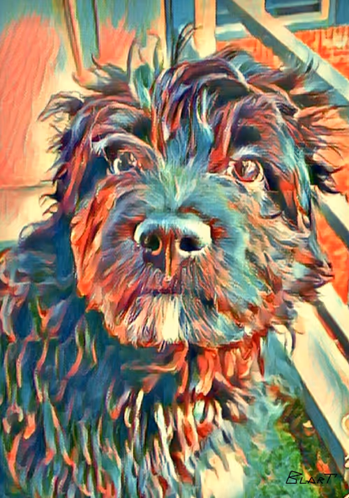 Item #100912189096696144949180120692345760590440403347893883972252148261461843509249 Media