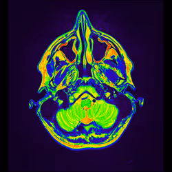 64162533542198579898252916190583583845604629893829087458582975694115459563521