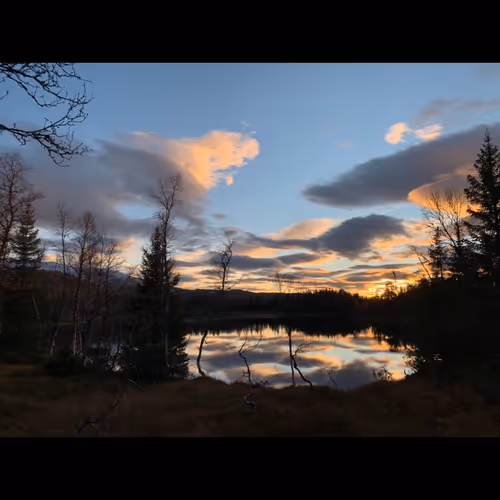 Untitled Collection #70216755 - old