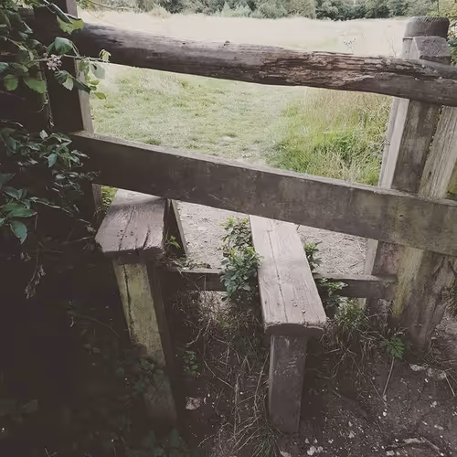 Item #105237010342582609876748436582366170093723610565651913513256945276487775289345 Media