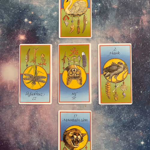 Animal Medicine Tarot Readings