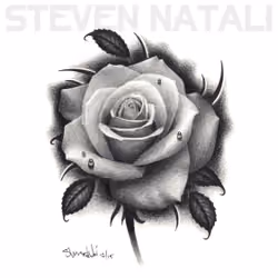 Rose Drawing