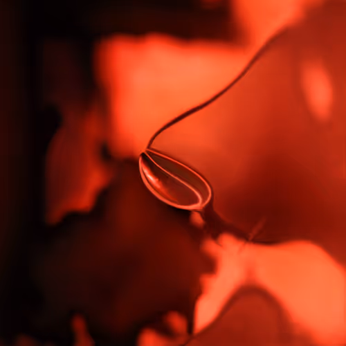 Item #47559451843736372481830899747083495530740509927607212916086401373498559692801 Media