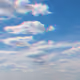 105584642001795359982297412503137608548701590173958691391761541901166395260929