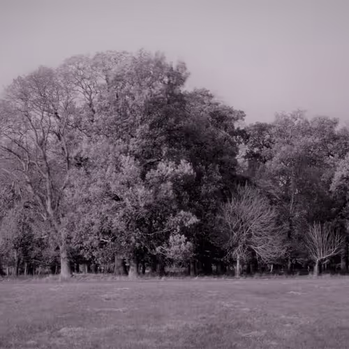 Presence Of Absence Installation 2015