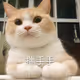 sss46