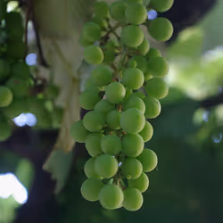 100748379412919059267110879785057129888508222288536348751201759398565827837953