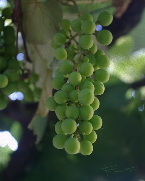 Item #100748379412919059267110879785057129888508222288536348751201759398565827837953 Media