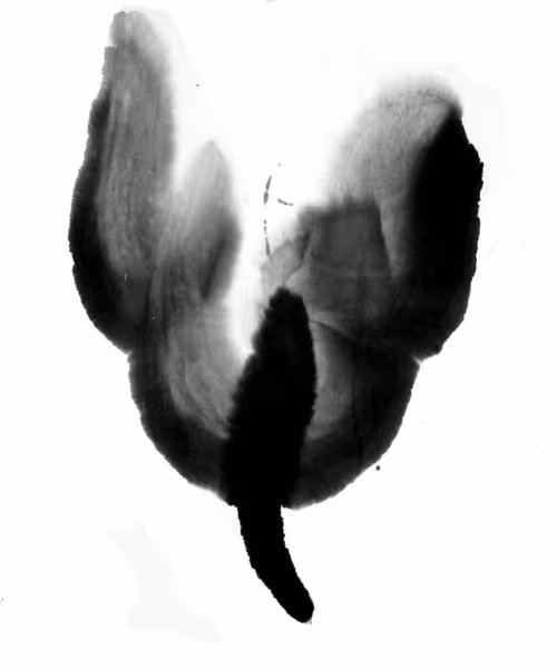 Item #33182819958798274765736474442536302017080367810703815138338418235917329235969 Media