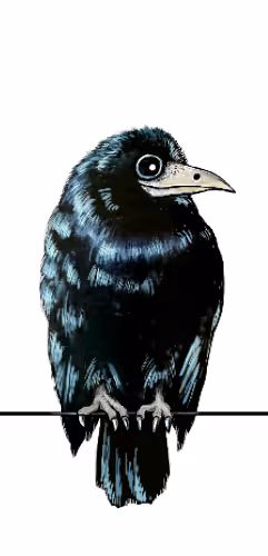 72695523464753550601147126795501667149014001806411121621206157105270263644161