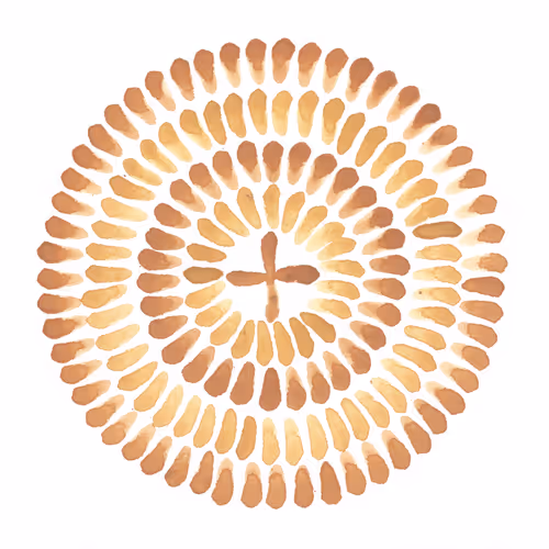 Item #111264774895172989553606282022194155892745764425417346937131400254289042472961 Media