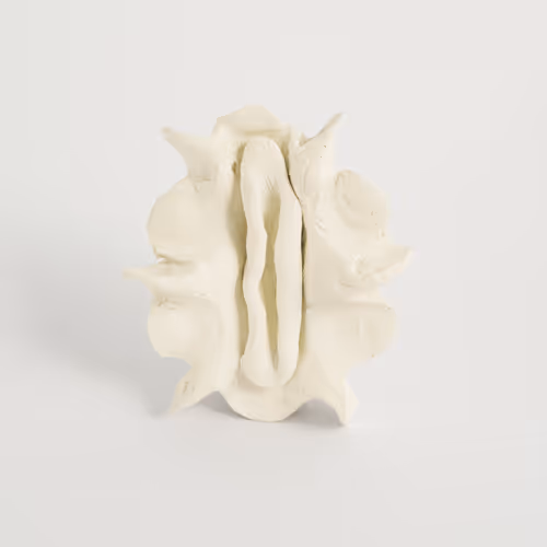 Item #17209881472968025419178314735937104425680525868267504693943336170701511983105 Media