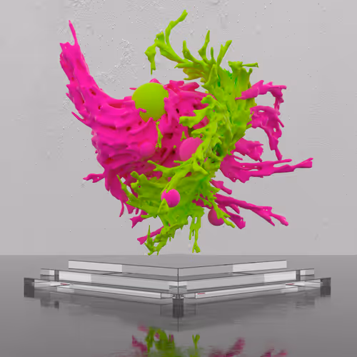 Item #112097717849883805444895940915077751772005281036494326567773415995730837897217 Media