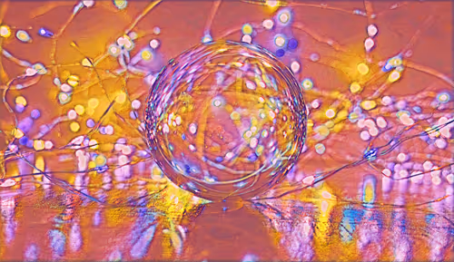 Item #75164984898551115248887010361709320867309151549896276985250492858054760988673 Media