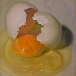 Broken Fresh Egg