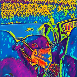 ResponsibleButComicalSweetDog