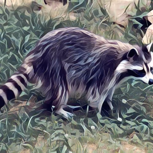 Animal Art V4