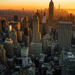 #06 - Concrete Jungle