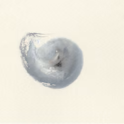 matisse key #30 SONO HITO