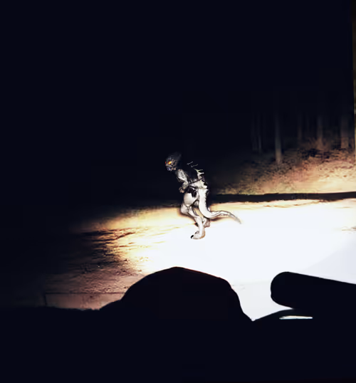 Item #53087923524339814745884647961586117102137361801337036689171791745398389866497 Media